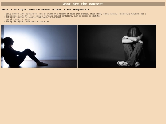 page 3(website) screenshot