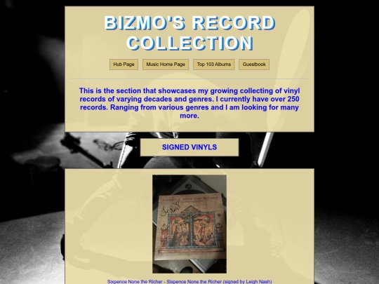 VinylCollection screenshot