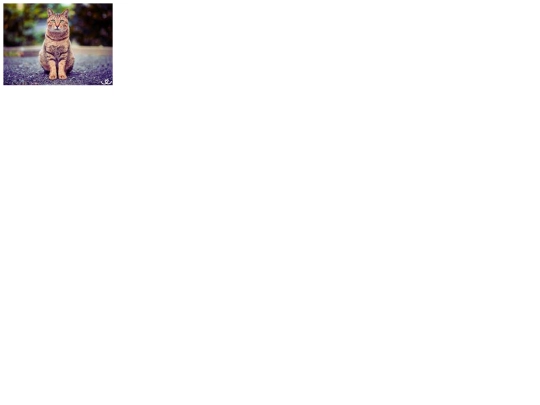 kocka screenshot