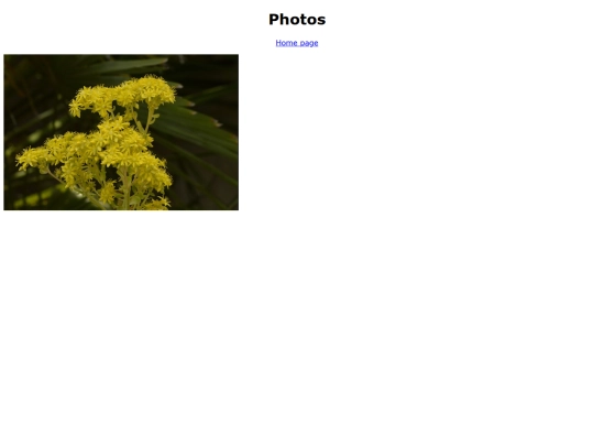 photos screenshot