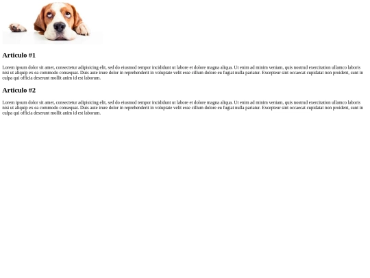 PRACTICA 1/bloque de contenidos/divarticlesection screenshot