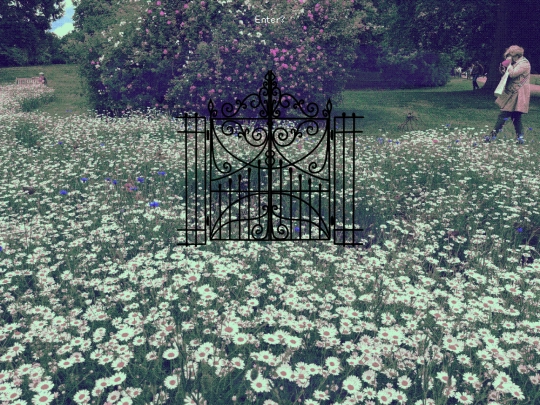 ⋆ ˚｡⋆୨୧˚ lavender fields ✿⋆˚₊ ⊹