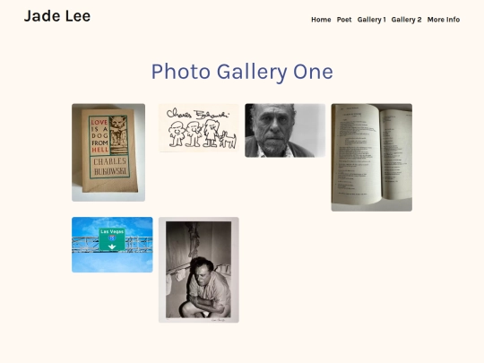 bukowski/gallery screenshot