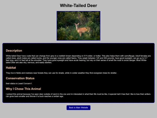 Web-Design/1-HTML/ZooProject/white-taileddeer screenshot