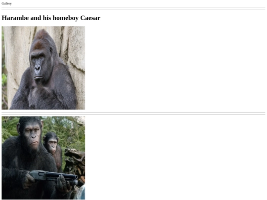 test screenshot