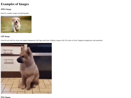 images-example/images-example screenshot