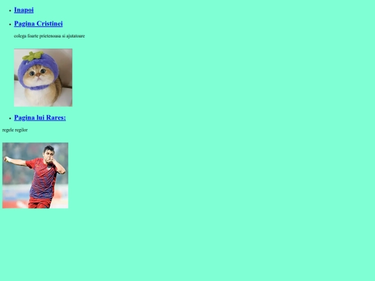 proiectelecelelalte screenshot