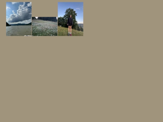 image lib /img_lib screenshot