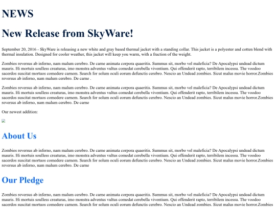 css screenshot