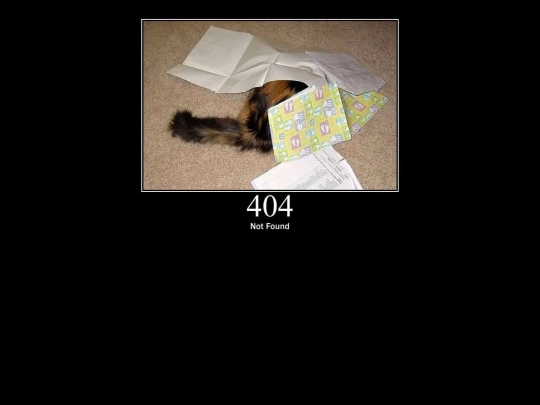 404 screenshot