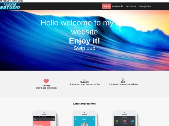 Index_files/Sitio Web screenshot