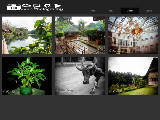 gallery screenshot