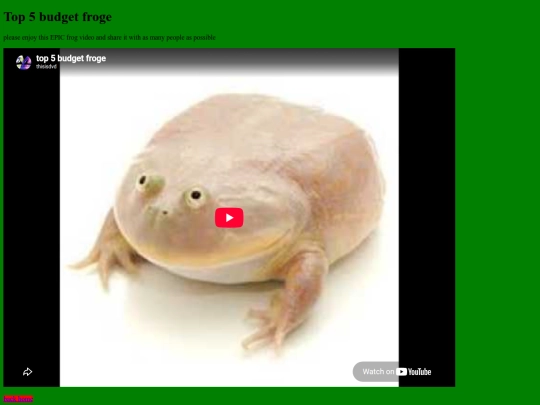 budgetfroge screenshot
