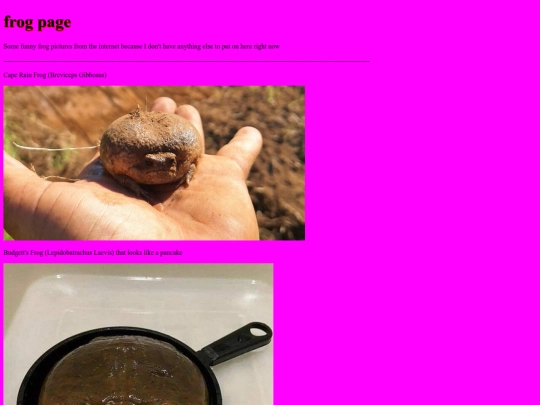 frogpage screenshot