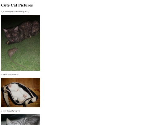 cats screenshot