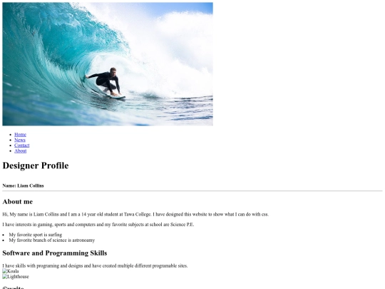 index screenshot