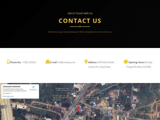 project/contact us screenshot
