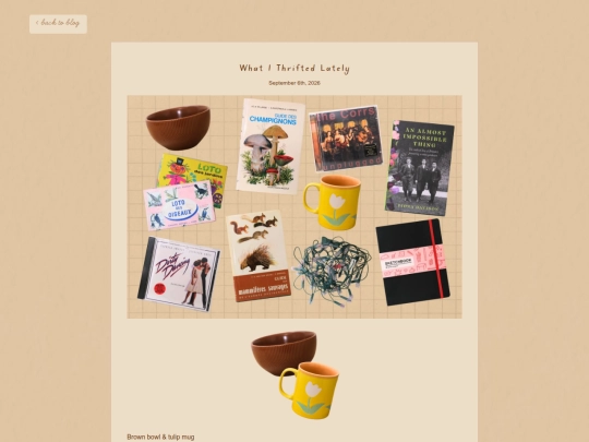 blog/2026/what-i-thrifted-lately screenshot