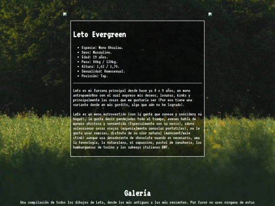 letoevergreen screenshot
