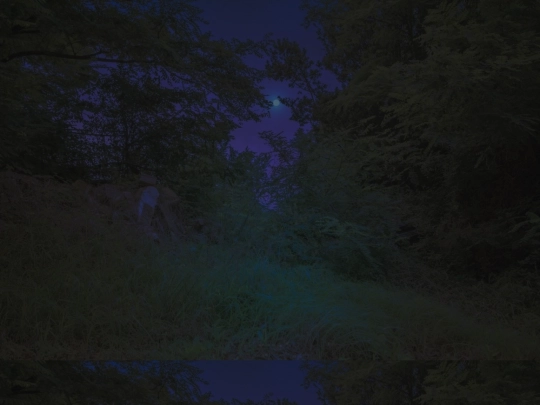 shifting screenshot