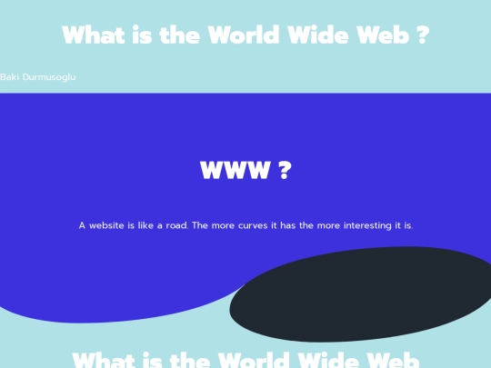 www screenshot