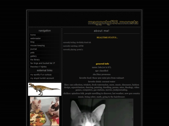 webmaster screenshot