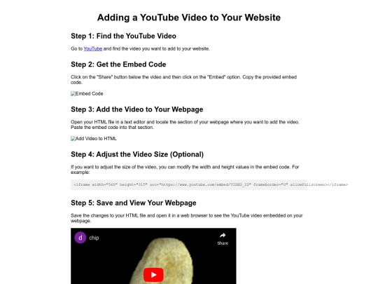 video.html/video screenshot