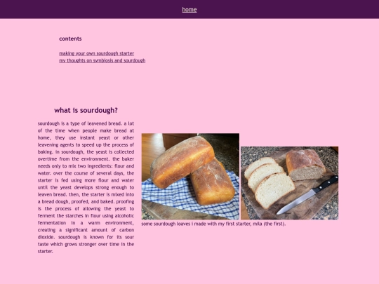 sourdough screenshot