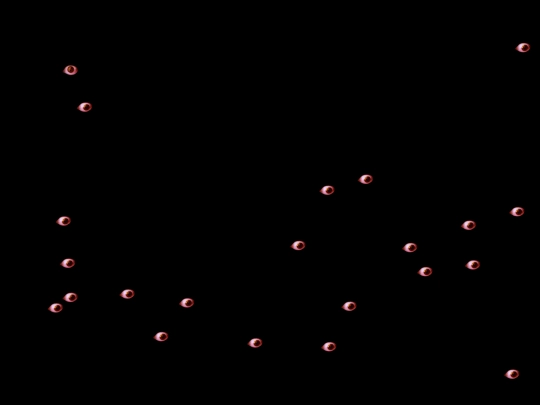 void screenshot