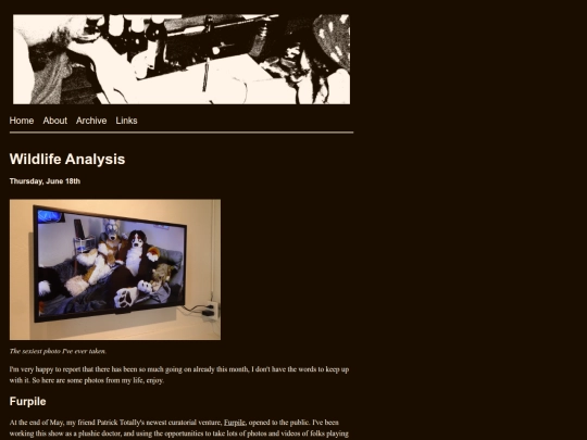 posts/2026-06-18-Wildlife-Analysis screenshot