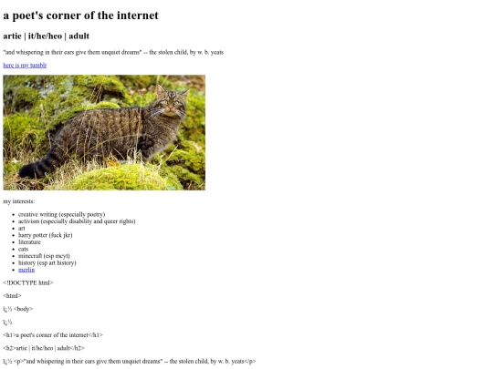 DOCTYPE html screenshot