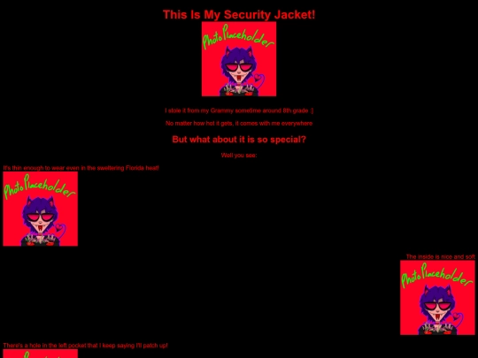 SecurityJacket screenshot