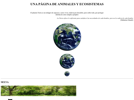 Practica5/Ejercicio5JaimeNieto screenshot