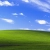 The Desktop avatar