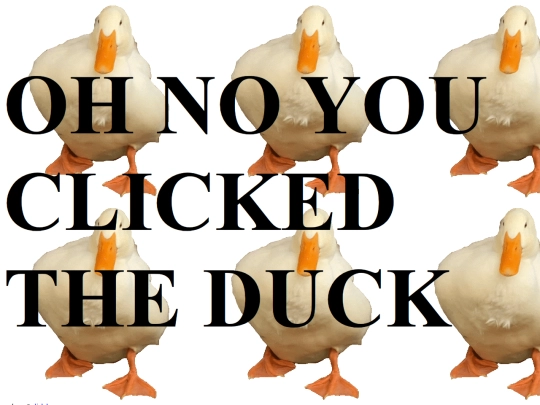 duck screenshot