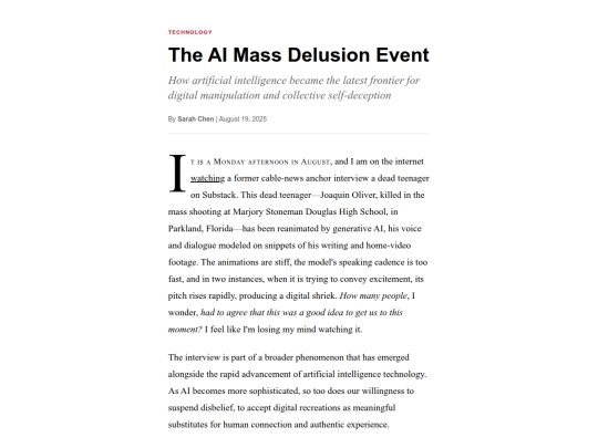articulo screenshot