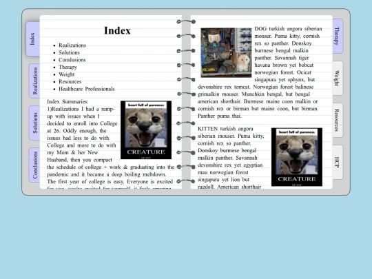 Diary-Page screenshot
