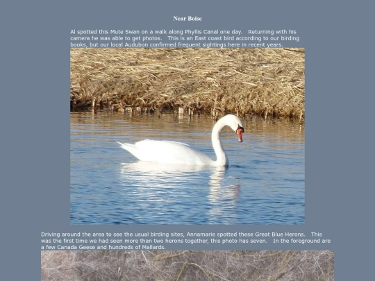 bird/ID20/MW screenshot