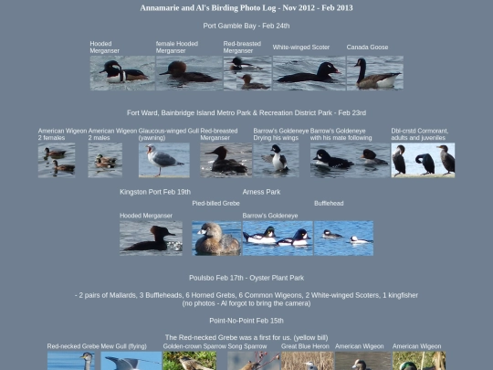bird/L1/log screenshot