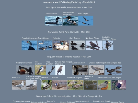 bird/L2/log screenshot