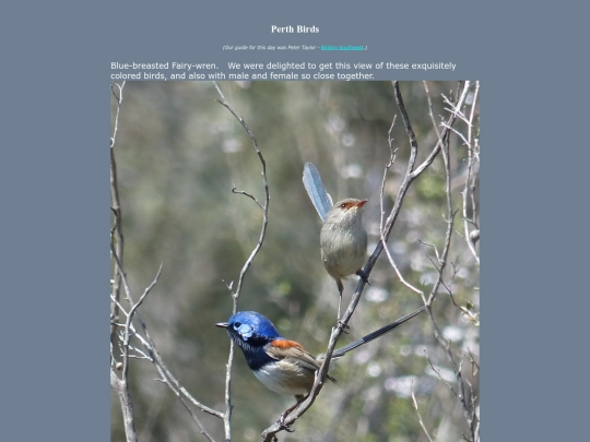bird/au13/prth/prth screenshot