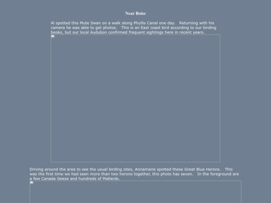 bird/id20 screenshot