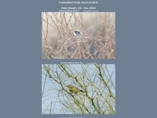 bird/ub/ub screenshot
