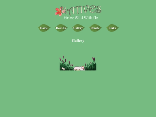 Gallery screenshot