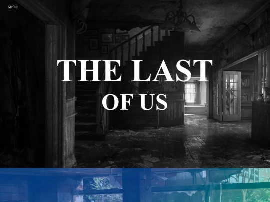 The Last Of Us  screenshot