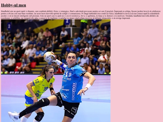 hobby screenshot