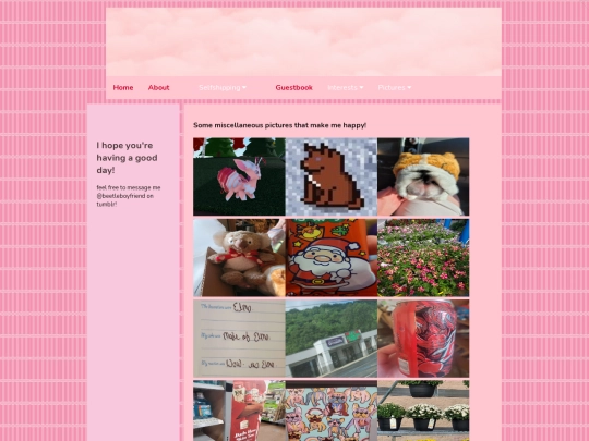 miscpics screenshot
