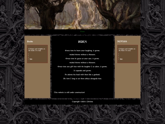 burn screenshot