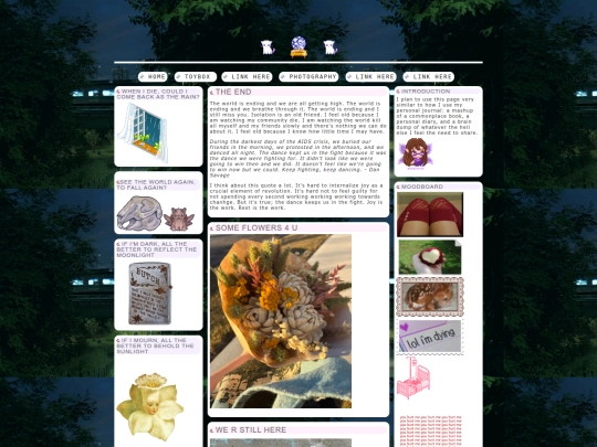 blog screenshot