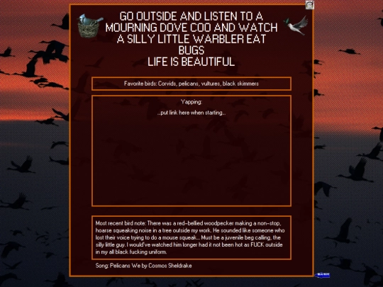 BlogEntries/Bird/BirdsHome screenshot